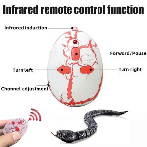 Un Compagnon de Jeu Innovant pour Chats : La Révolution du Serpent Intelligent