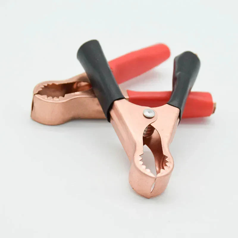 Une Connexion Inspirée: Optimisez Vos Branchages avec l’Ensemble Clips Test Batterie 50A