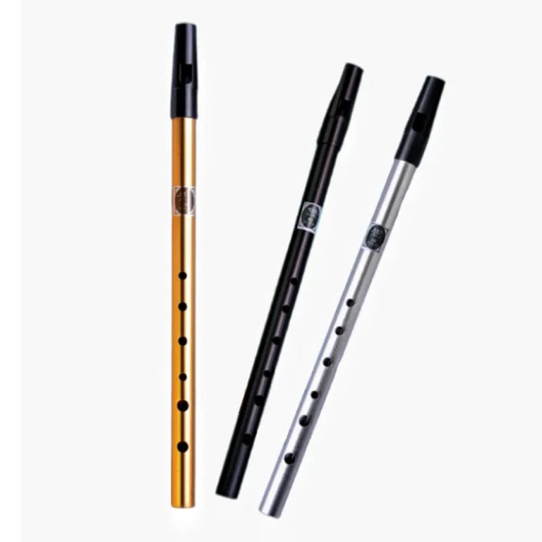 Plongez dans l'univers envoûtant de la musique celtique avec un instrument d'exception