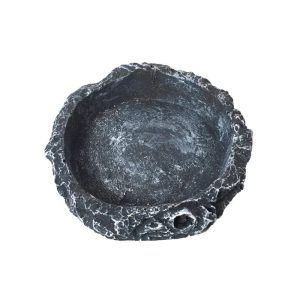 Gamelle Terrarium : Le Confort Naturel pour Vos Reptiles