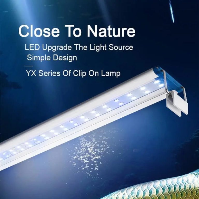 Illuminez Votre Aquarium avec Élégance et Efficacité