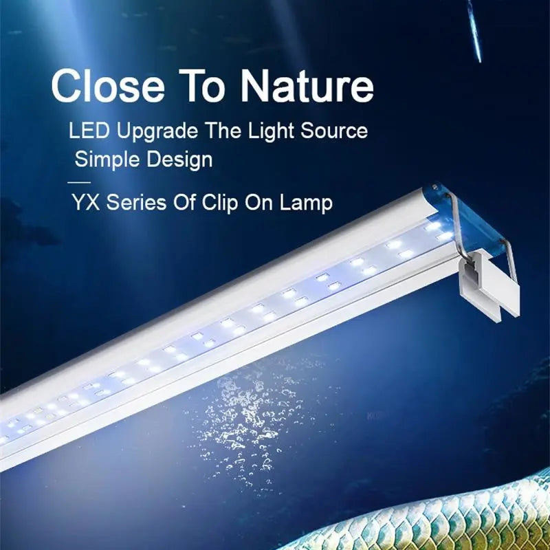 Illuminez Votre Aquarium avec Élégance et Efficacité