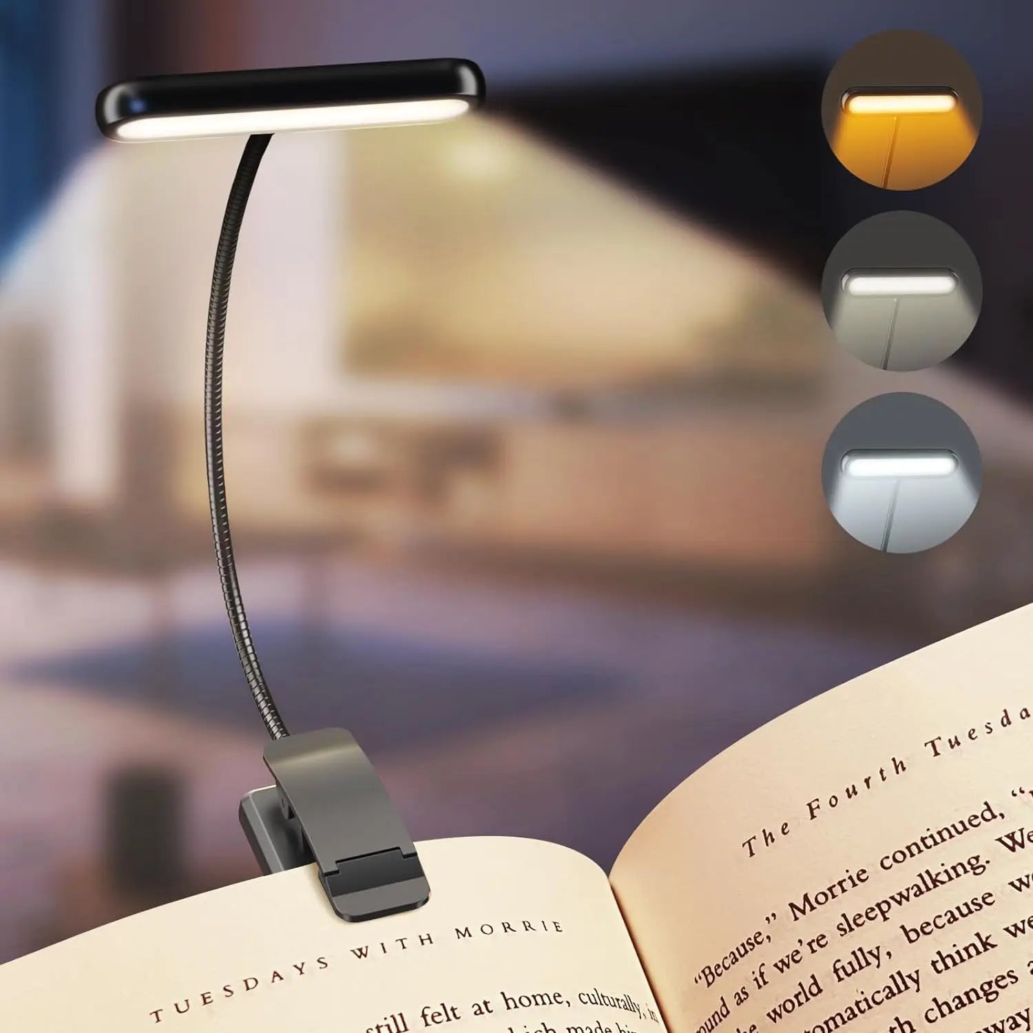 Eclairez Vos Lectures : Un Compagnon Innovant pour Tous Vos Moments de Lecture