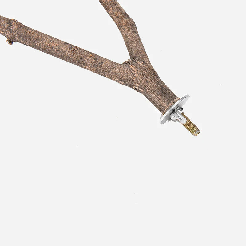 Boostez le bien-être de vos petits compagnons avec un perchoir en bois brut innovant