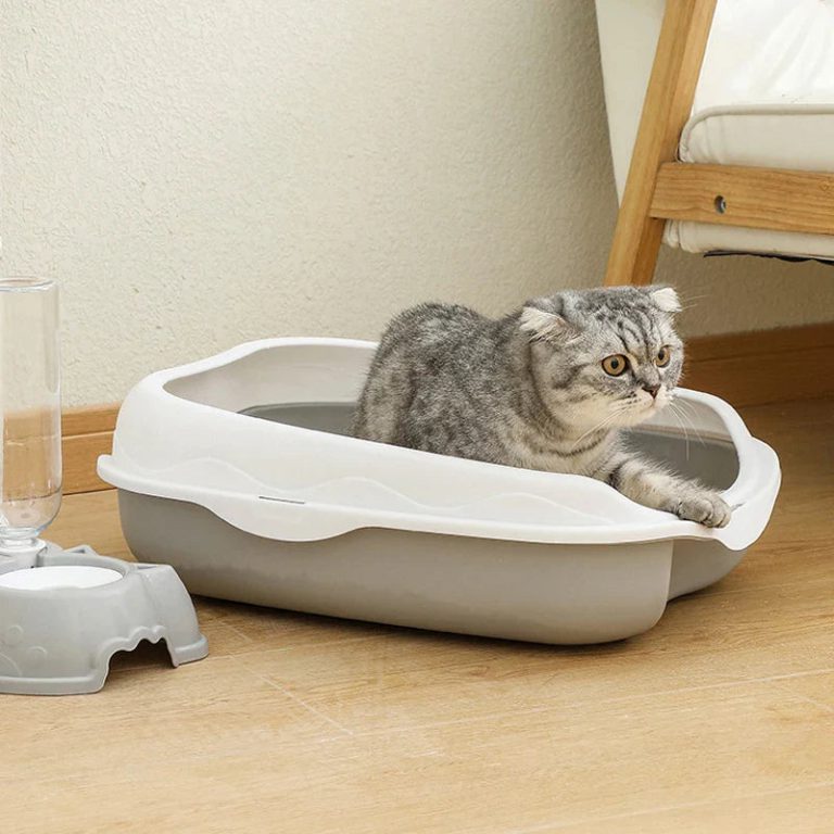 Des Solutions Innovantes pour une Hygiène Feline Optimale