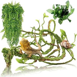 Transformez le Terrarium de Vos Reptiles avec une Décoration Naturelle Innovante
