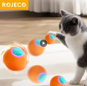 Le compagnon de jeu innovant pour vos chats exigeants