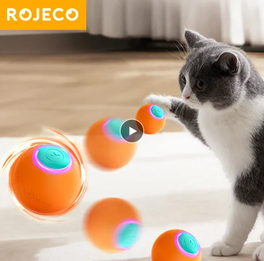 Le compagnon de jeu innovant pour vos chats exigeants