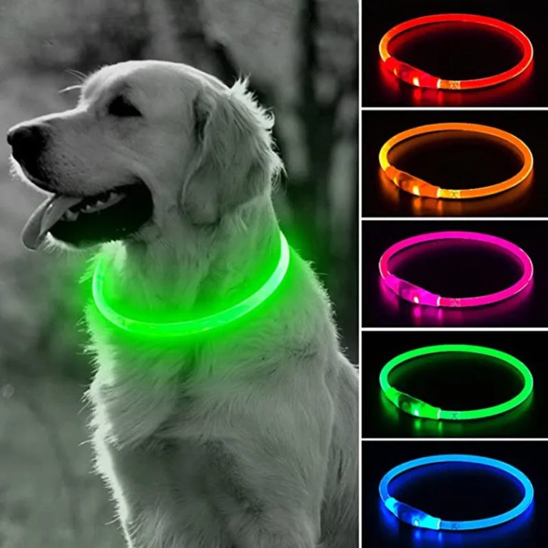 Découvrez le Collier Lumineux LED USB pour Chien et Chat : Allier Sécurité et Style en Toute Simplicité