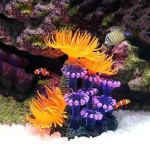 Sublimez Votre Aquarium avec une Décoration Corail Artificiel Ultra-Réaliste
