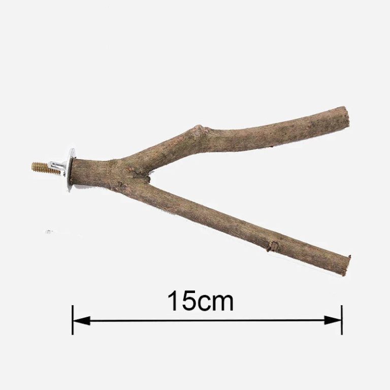 Un univers de bien-être pour vos oiseaux : découvrez le jouet interactif en bois intégrant miroir et perchoir