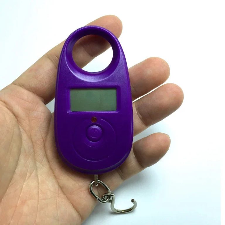 Découvrez l'outil de pesée polyvalent pour une précision au quotidien