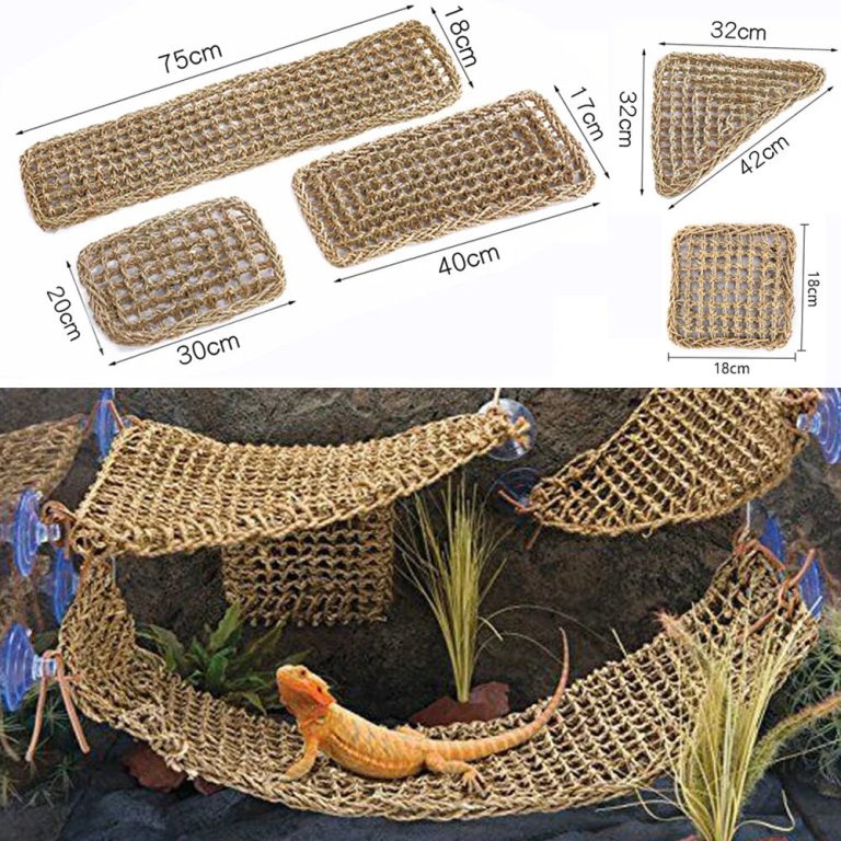 Redécouvrez le Bien-Être de Votre Dragon Barbu avec un Hamac Naturel Innovant
