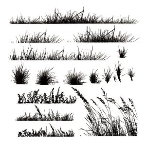 Un Outil Créatif Incontournable pour Vos Projets Scrapbooking