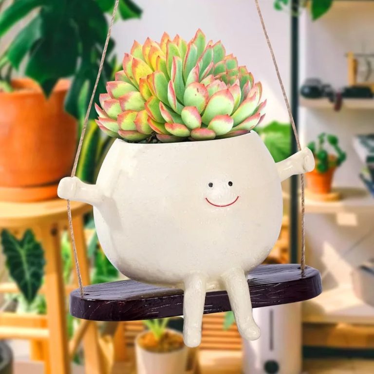 Un nouveau souffle créatif pour vos espaces verts : l’élégance ludique du Swing Face Planter Pot