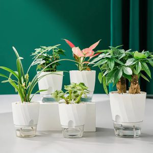 Poussez votre passion végétale avec style grâce à une jardinière innovante