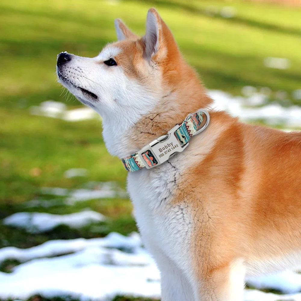 Le Collier Personnalisé pour Chien : L’alliance parfaite entre style et sécurité