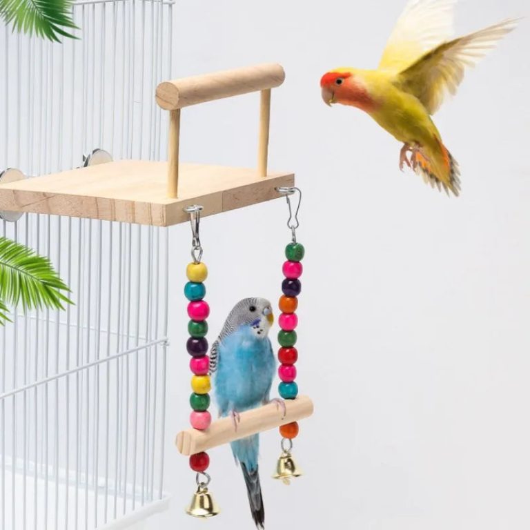 Nid d'oiseau en bois : l’accessoire innovant qui révolutionne le quotidien de vos compagnons à plumes