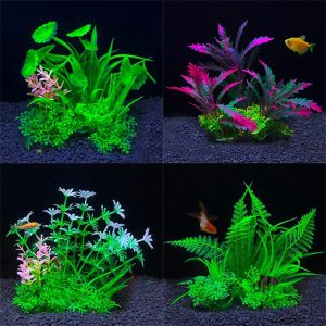 Transformez votre aquarium en un véritable écosystème naturel avec une touche artistique