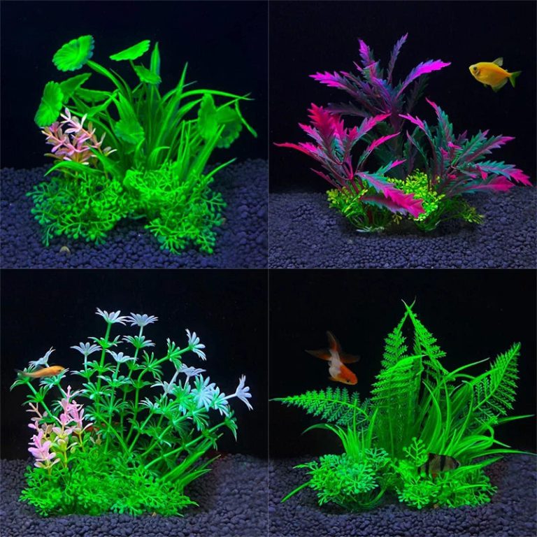 Transformez votre aquarium en un véritable écosystème naturel avec une touche artistique