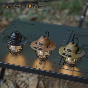 L'éclat vintage qui illumine vos soirées en plein air