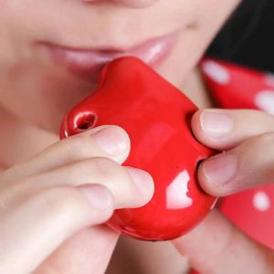 Explorez la Magie Musicale dès le Plus Jeune Âge avec un Ocarina Innovant