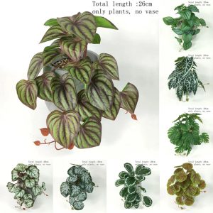 Un décor verdoyant et sans effort pour terrariums exigeants