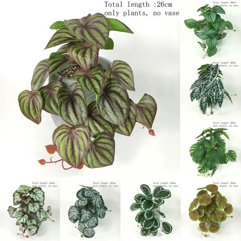 Un décor verdoyant et sans effort pour terrariums exigeants