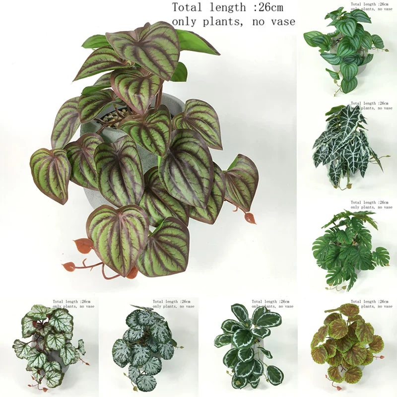 Un décor verdoyant et sans effort pour terrariums exigeants