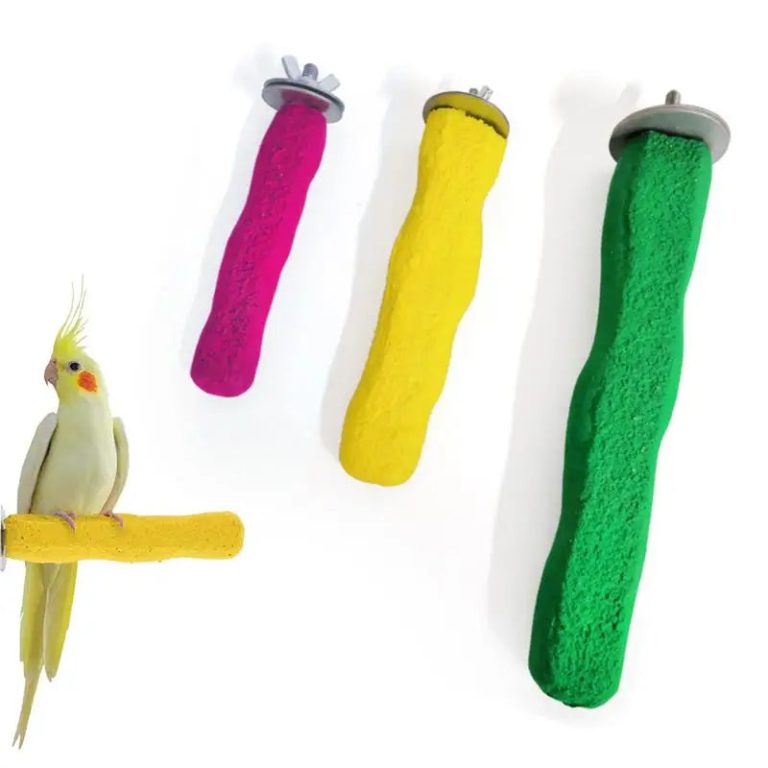 Redécouvrez le Bien-Être de Vos Oiseaux avec un Accessoire Innovant