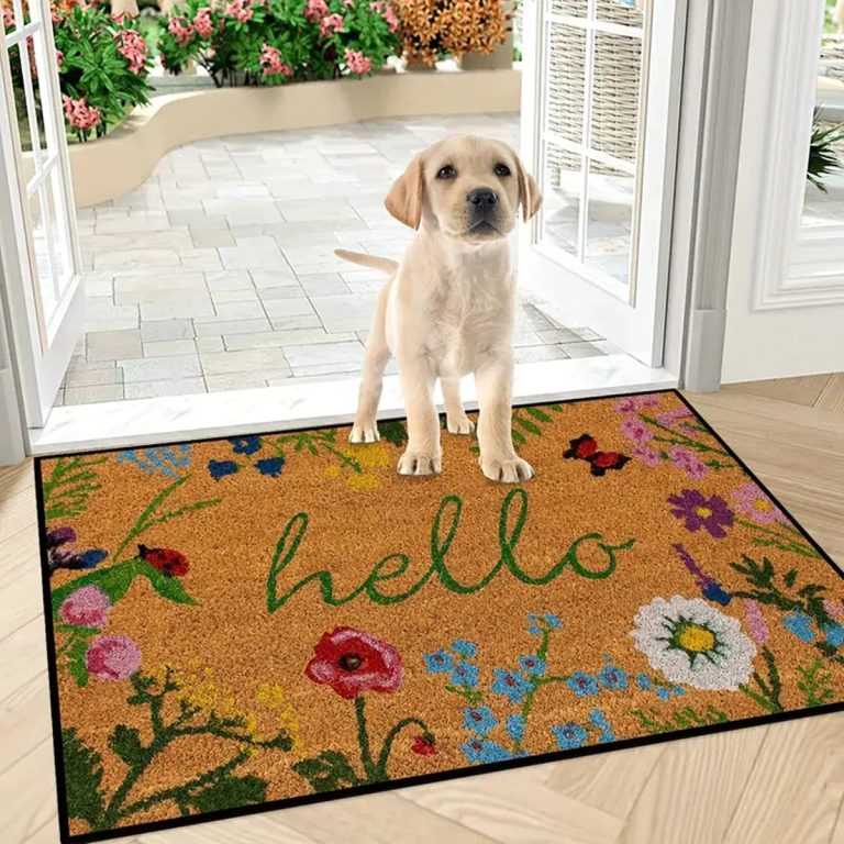 Tapis d’entrée ingénieux : allier style, sécurité et facilité d’entretien