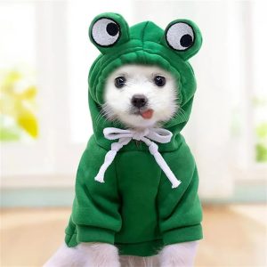 Adoptez le look unique pour votre compagnon : le manteau grenouille en cosplay