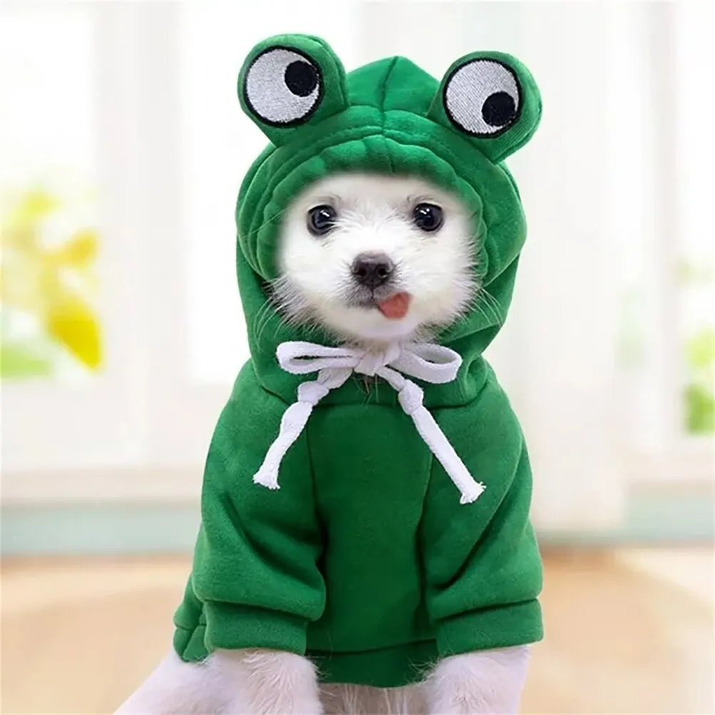 Adoptez le look unique pour votre compagnon : le manteau grenouille en cosplay