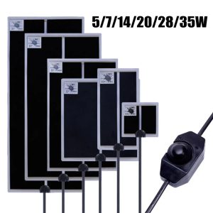 Découvrez le secret d'un terrarium parfaitement chauffé pour le bien-être de vos reptiles