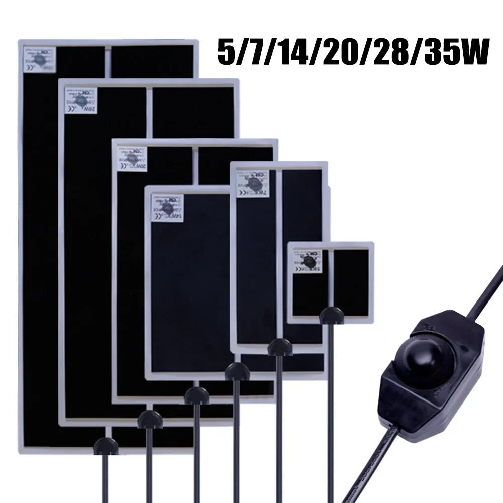 Découvrez le secret d'un terrarium parfaitement chauffé pour le bien-être de vos reptiles