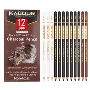 Révélez Votre Génie Artistique avec l’Ensemble Professionnel Crayons de Charbon Blanc KALOUR