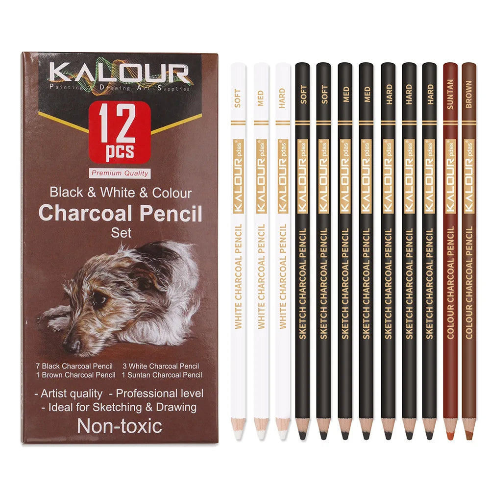 Révélez Votre Génie Artistique avec l’Ensemble Professionnel Crayons de Charbon Blanc KALOUR
