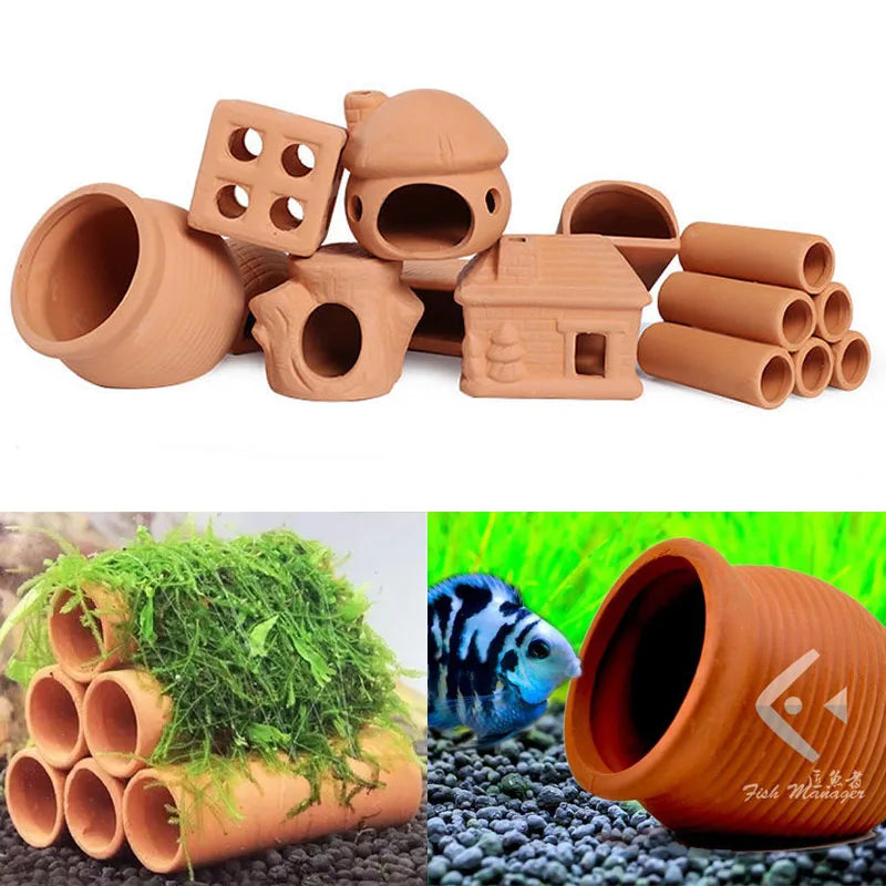 Un Habitat Aquatique Original : L’Ananas en Céramique qui Révolutionne Votre Aquarium