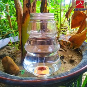 Révolutionnez l'Arrosage de Vos Succulentes grâce à une Irrigation Intelligente