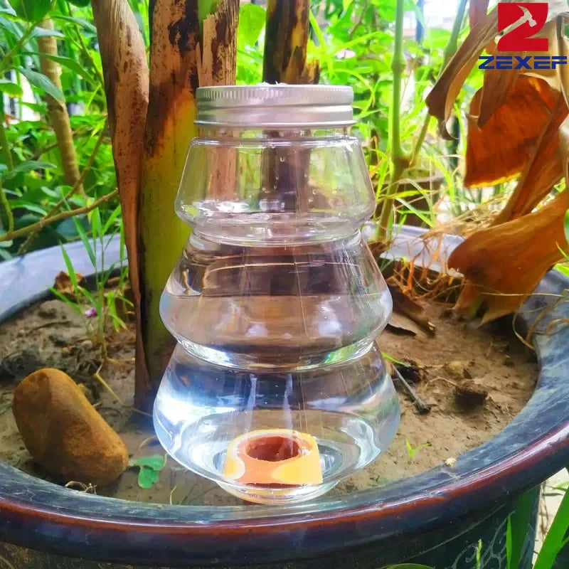 Révolutionnez l'Arrosage de Vos Succulentes grâce à une Irrigation Intelligente