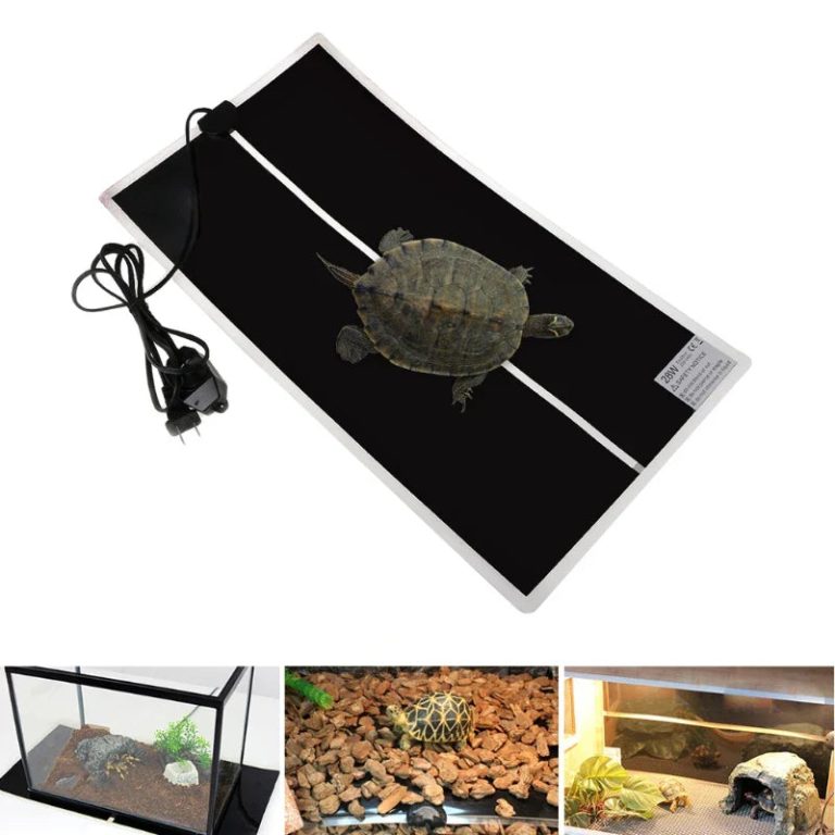 Offrez à Vos Reptiles un Habitat Idéal avec le Tapis Chauffant 20W