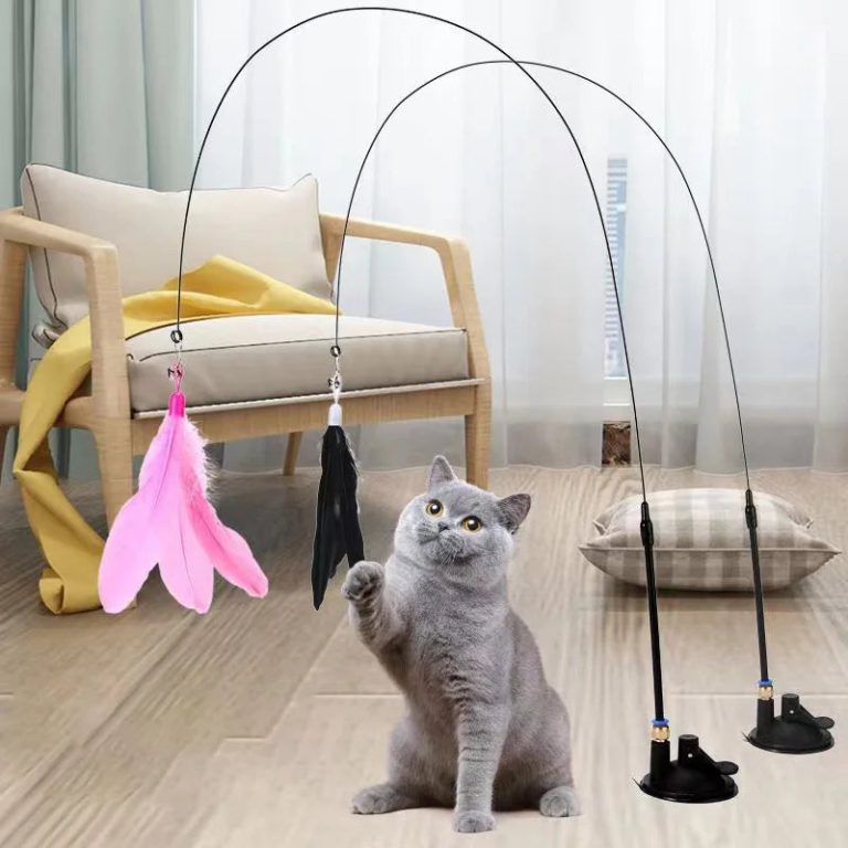 L'univers ludique et interactif pour votre chat : une expérience captivante avec une baguette à plumes