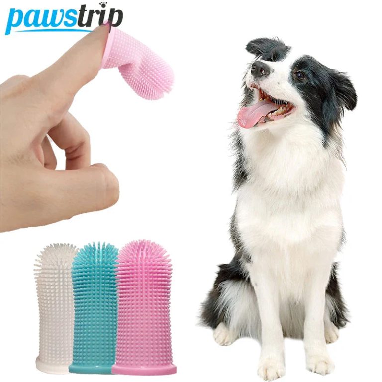 Offrez à Votre Chien un Sourire Éclatant Grâce à une Brosse Dentaire en Silicone Innovante