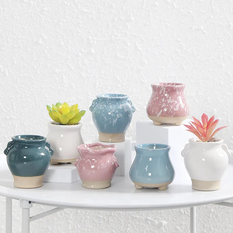 Élégance et Authenticité : Sublimez Vos Succulentes avec un Pot de Fleurs Mini en Céramique Fissurée