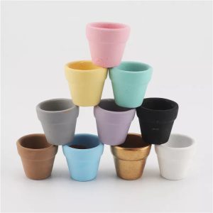 Révélez le charme naturel de vos plantes miniatures avec un pot en terre cuite coloré