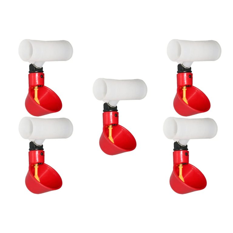 Révolutionnez l’Alimentation de Votre Élevage avec des Solutions Automatisées pour Volaille