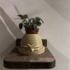 Un Élégant Symbole de Nature et Littérature pour Sublimer Votre Intérieur