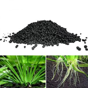 Un Substrat Révolutionnaire pour des Jardins Aquatiques Éblouissants