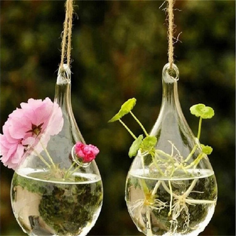 Donnez une Nouvelle Dimension à Votre Décoration Intérieure avec un Vase Suspendu en Verre Transparent