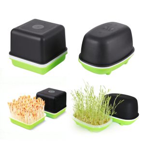 Redécouvrez la fraîcheur à domicile grâce à une germination hydroponique innovante